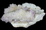 Amethyst Crystal Cluster - Diamond Hill, SC #69783-1